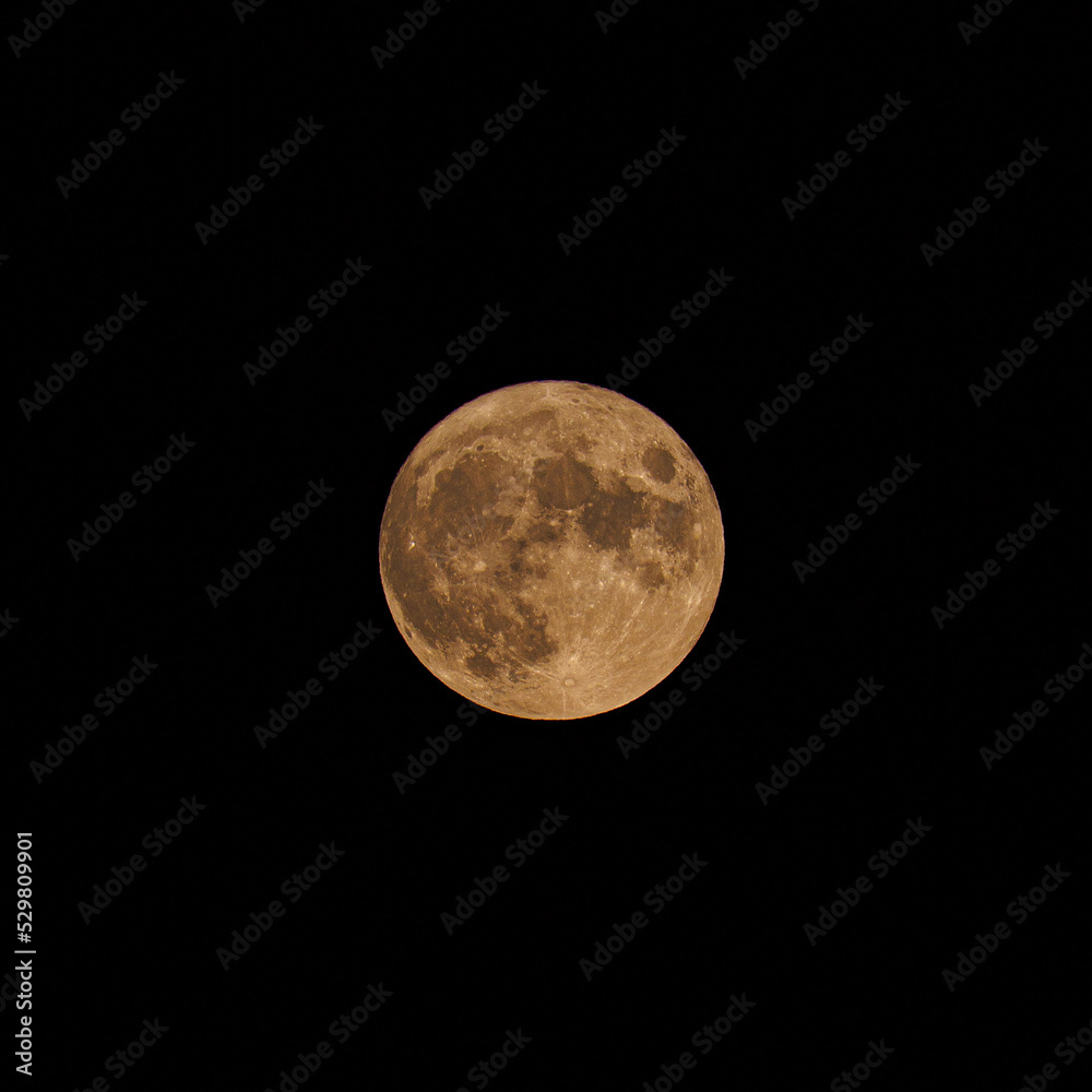 Obraz premium 秋.002