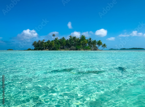 Fototapeta Naklejka Na Ścianę i Meble -  Isolated wild tropical island with turquoise water and bright blue sky. Crystal sea, tropic coconut palm trees. Amazing nature background. Travel, adventure, concept image. Popular tourist destination