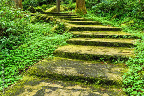 Stone stair footpath through the forest of Xitou Nature Education Area in Nantou, Taiwan.