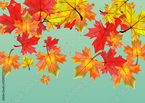 Red Leaves Background Green Vector. Leaf Isolated Card. Ocher October Foliage. Forest Plant Template.