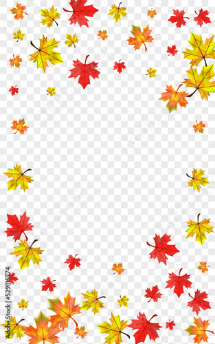 Red Leaf Background Transparent Vector. Plant Collection Frame. Yellow Decor Floral. Season Leaves Card.