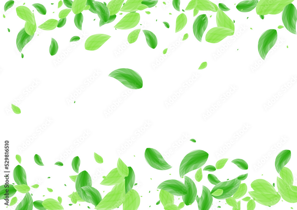 Greenish Sheet Background White Vector. Leaf Concept Card. Vitality Frame. Light Green Park Design. Foliage Beauty. Greenish Sheet Background White Vector. Leaf Concept Card. Vitality Frame. Light Green Park Design. Foliage Beauty.