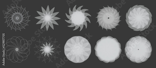 flowers on black, white flower on grey background