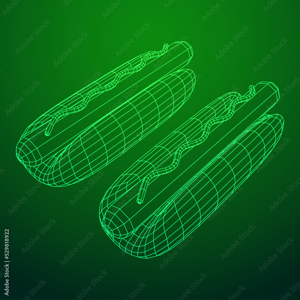 Hotdog fast food. Wireframe low poly mesh Hotdog fast food. Wireframe low poly mesh