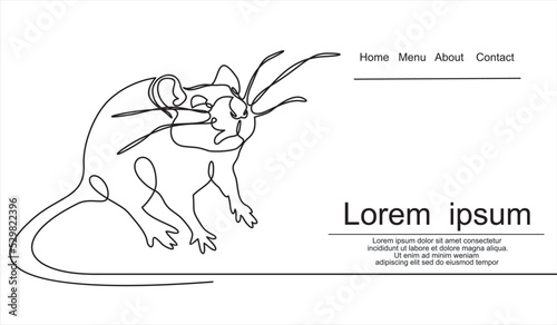 mouse icon, rat, mice thin line symbols