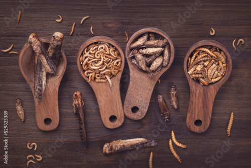 фотографія Dried edible insects