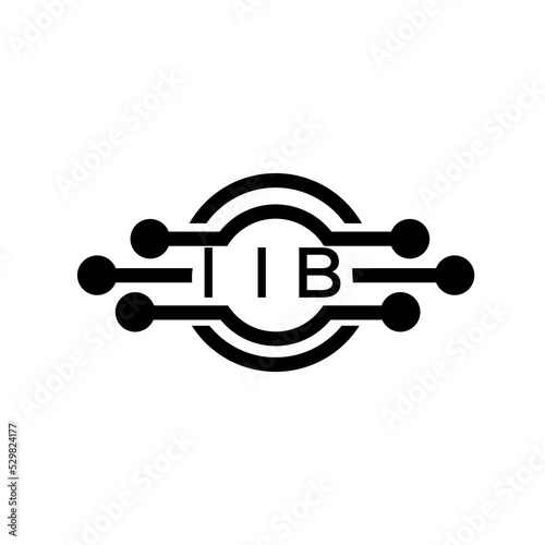 IIB letter logo. IIB best white background vector image. IIB Monogram logo design for entrepreneur and business.	
 photo