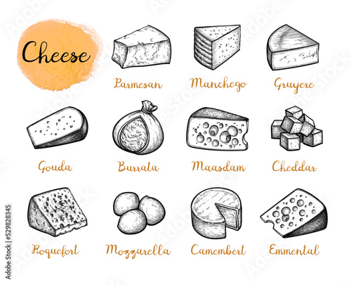 Cheese ink drawings set.