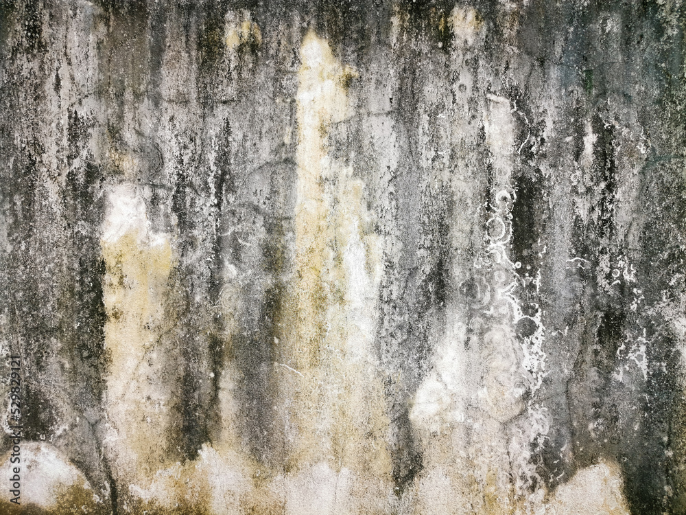 Fototapeta premium old grunge texture background perfect background with space and decorate the website