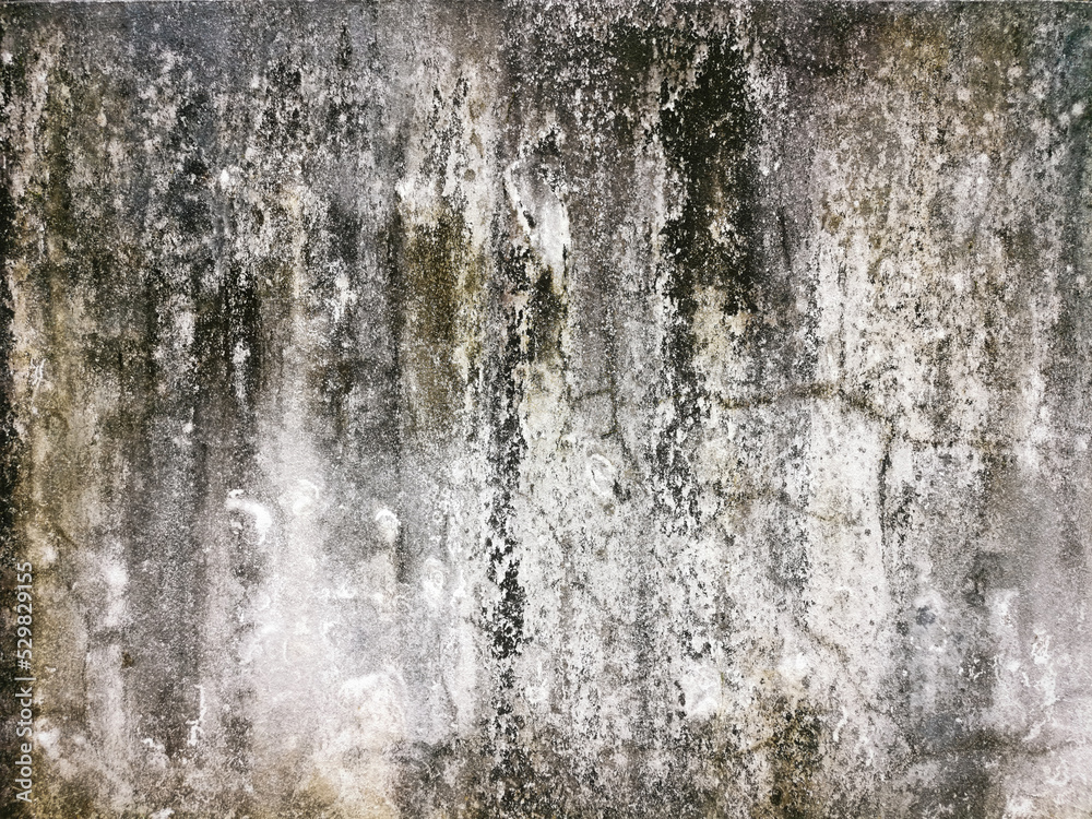 Fototapeta premium old grunge texture background perfect background with space and decorate the website