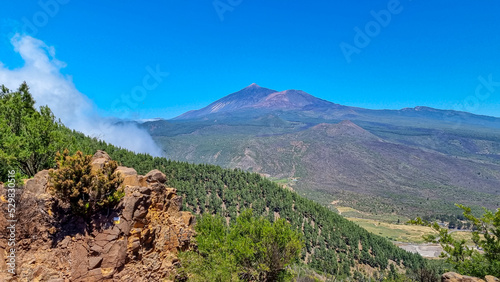 Scenic view on volcano Pico del Teide surrounded by Canarian pine tree forest, Teno mountain range, Tenerife, Canary Islands, Spain, Europe. Hiking trail from Santiago to Masca village via Pico Verde