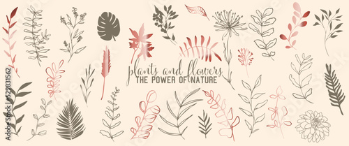 Plants and flowers collection - the power of nature. Individual design elements for your own project. Hand drawn lines and elegant leaves. Hand drawn colorful plant set - universally usable. 