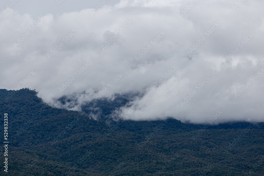 Mountain view in the morning with clouds floating in front after the rain.