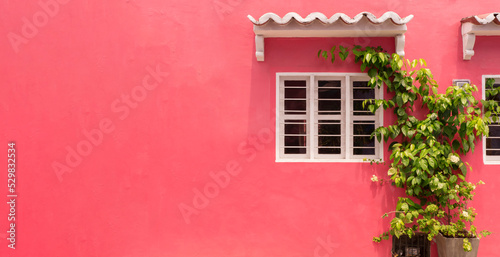 A colorful pink wall of caribbean house with window space and flower and plants and colonial roof.
