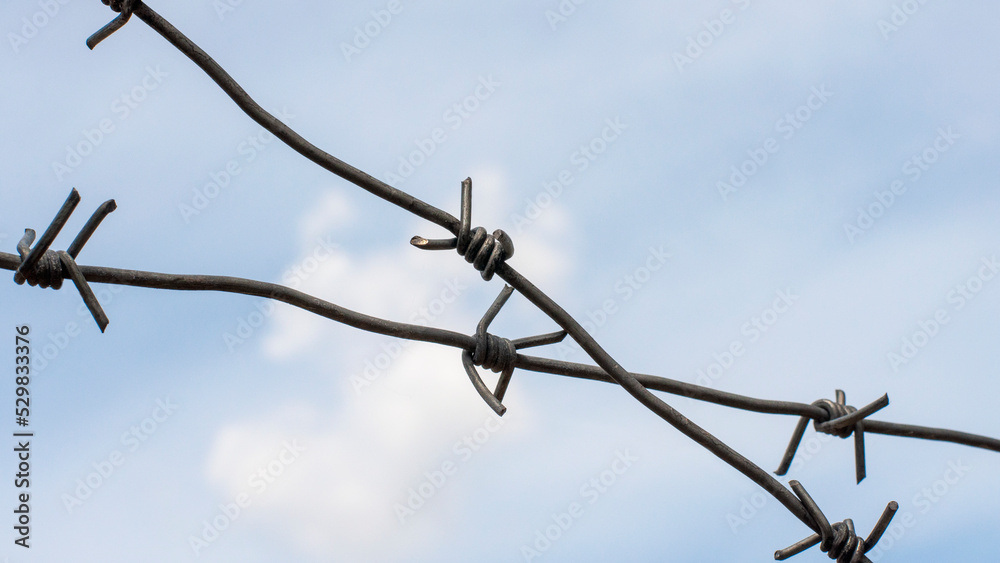 old barbed wire against the blue sky, barbed wire covered with rust old barbed wire against the blue sky, barbed wire covered with rust