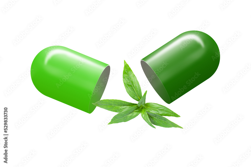 Fresh Andrographis paniculata leaf and powder herbal capsule isolated ...