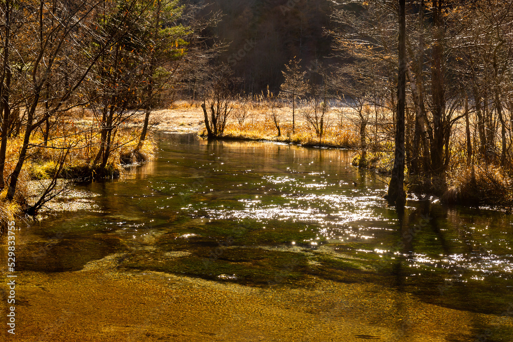 Obraz premium Fall Autumn color of Japan Alps area