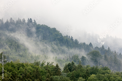 Grauer Himmel mit Nebelschwaden über Waldkuppe 