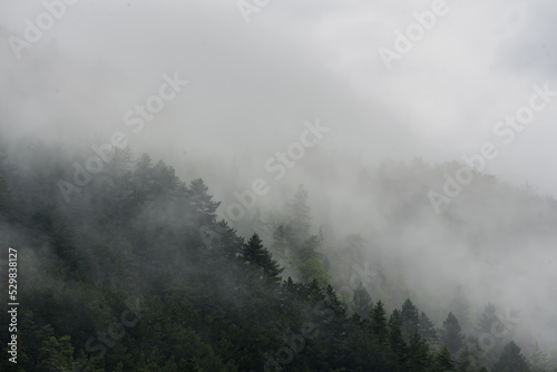 Wolken im Hang im Thüringer Wald © H. Rambold