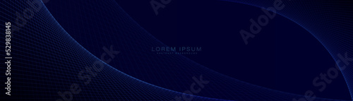 Abstract blue curve perspective grid on dark background. Modern blue mesh lines pattern. Technology futuristic concept. Suit for banner, template, cover, presentation, web, flyer. Vector illustration