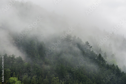 Wolken im Hang im Thüringer Wald © H. Rambold