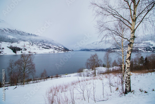 Norwegischer Fjord im Winter