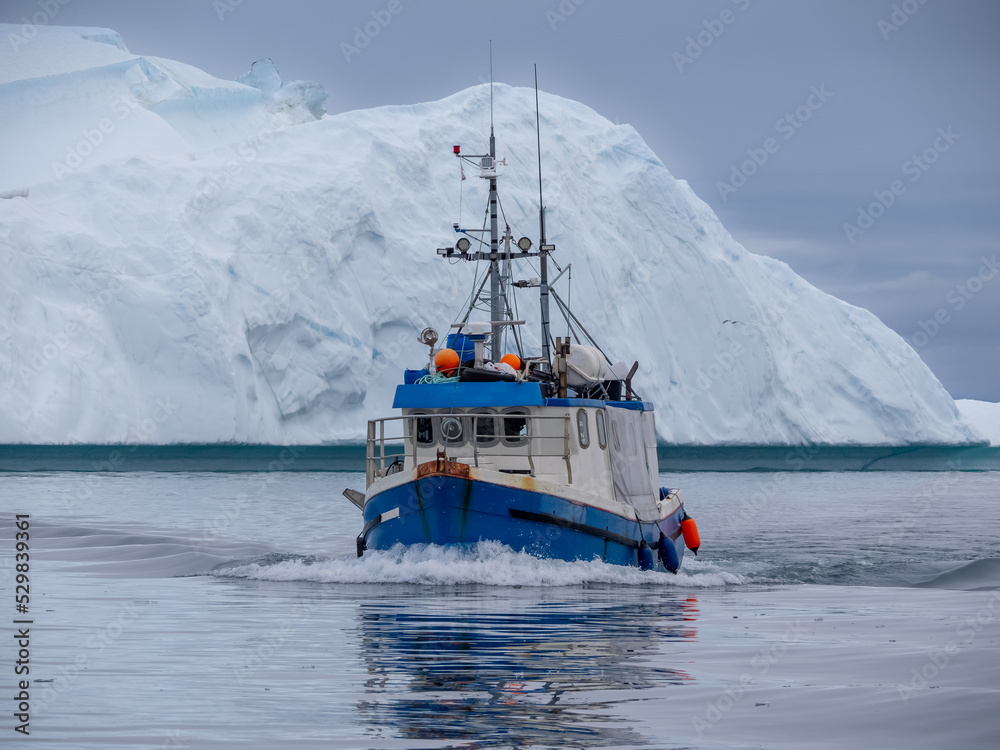 Naklejka premium Cruising among gigantic icebergs crowding the waters of the Disko Bay north of the Artic Circle near Ilulissat, Western Greenland