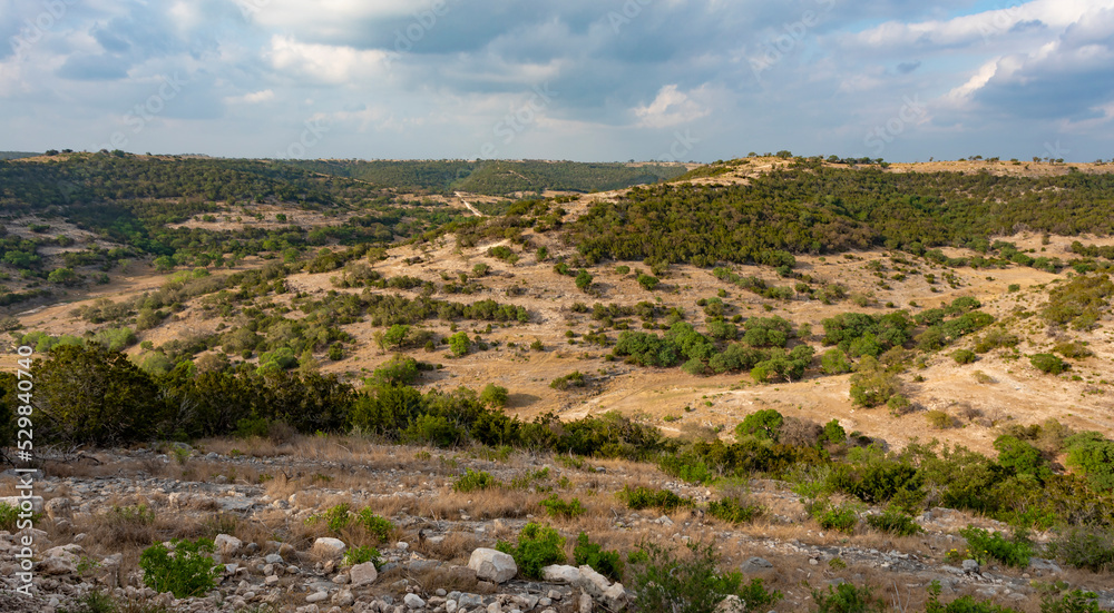 Late in the day in a remote area in Texas Hill country