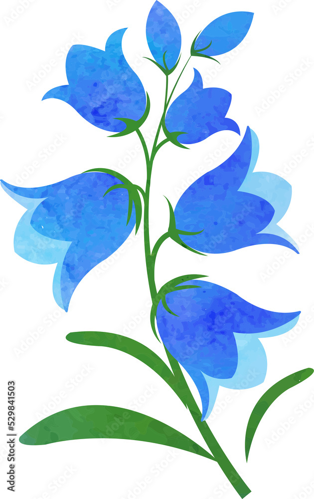 Water color texture botanic garden plant bluebell flower