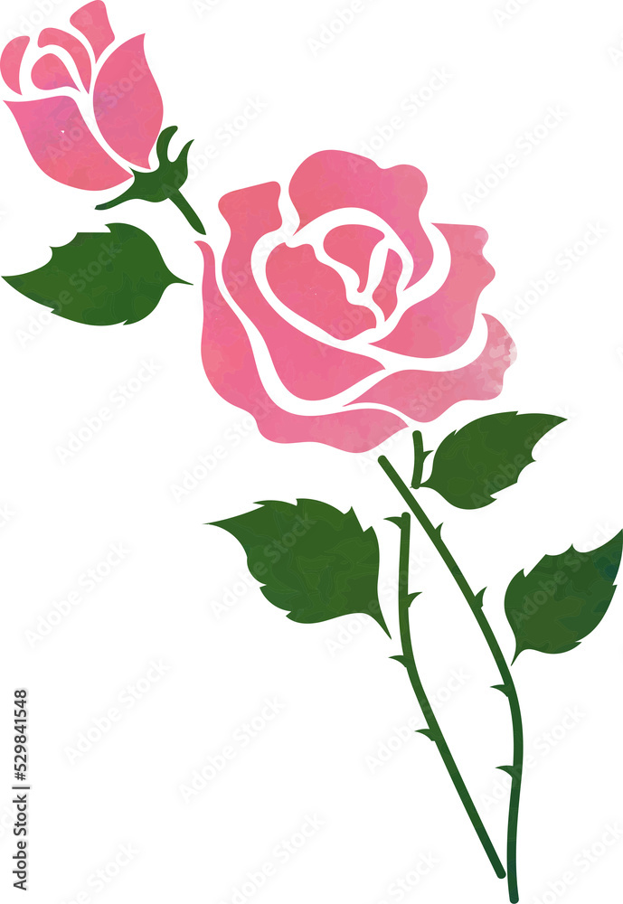 Obraz premium Water color texture botanic garden plant flower pink rose