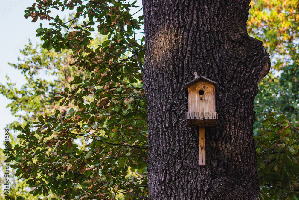wooden birdhouse nesting box on the tree