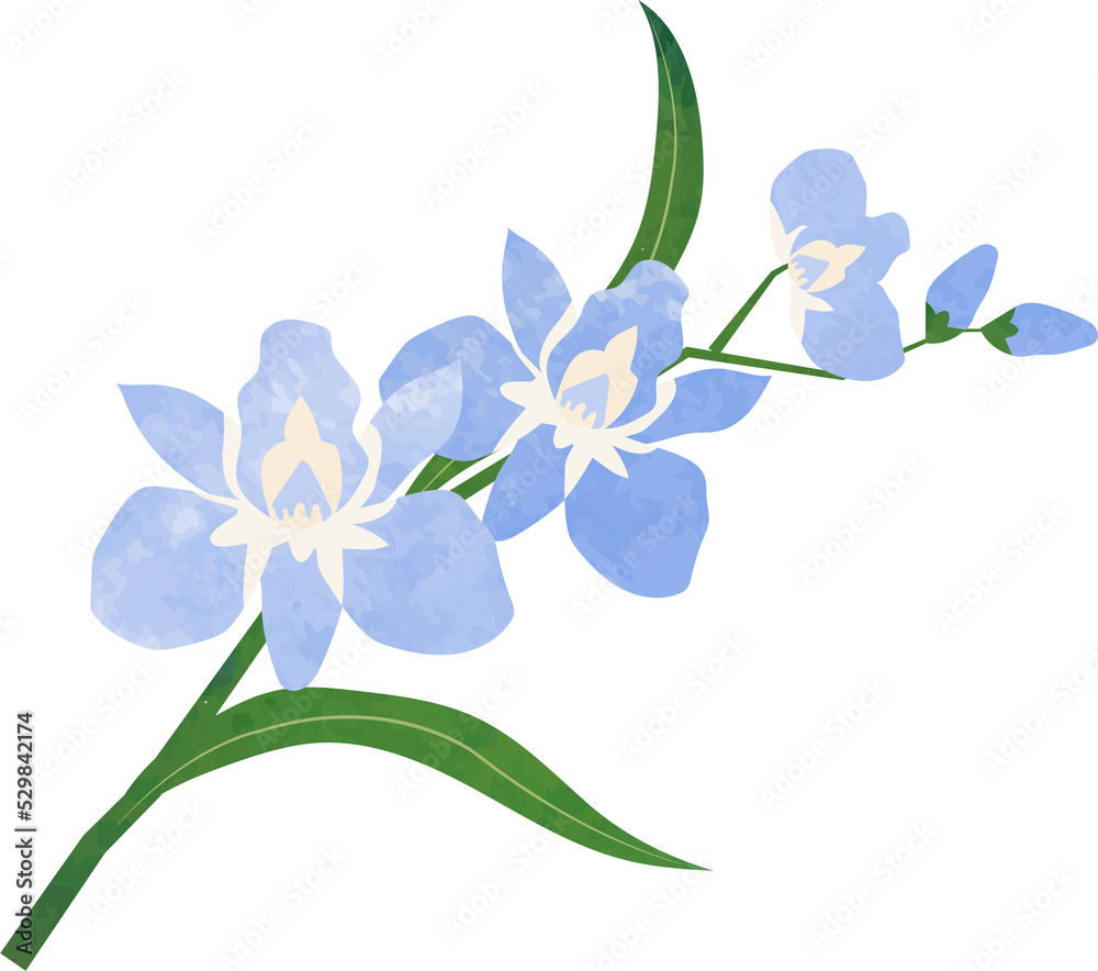 Obraz premium Water color texture botanic garden plant flower light blue orchid