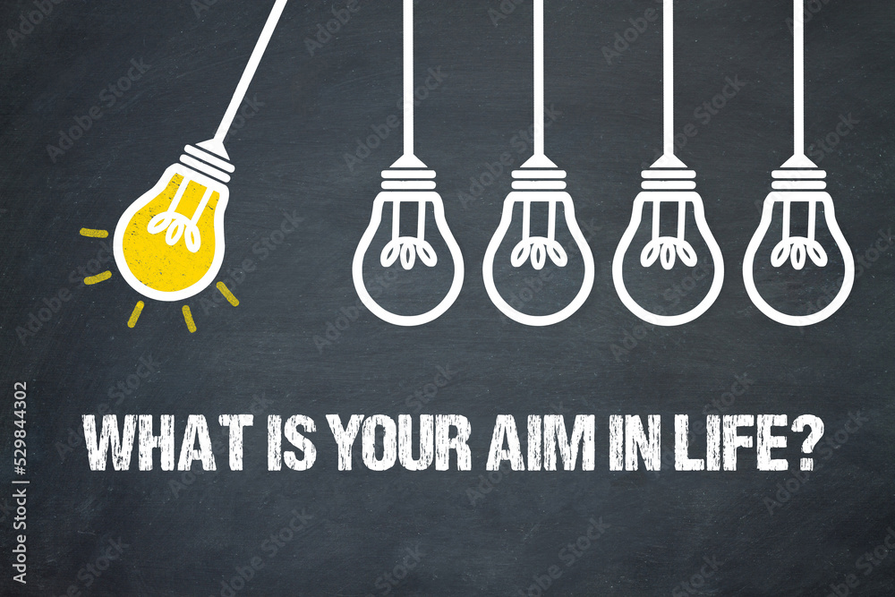 Fototapeta premium what is your aim in life?