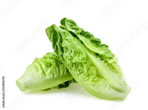fresh baby cos (lettuce) on white background photo