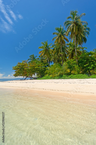 Fototapeta Naklejka Na Ścianę i Meble -  Beach with palm trees on Cayo Zapatilla, Panama