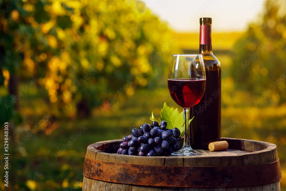 red wine in glass and grape on wooden barrel with vineyard