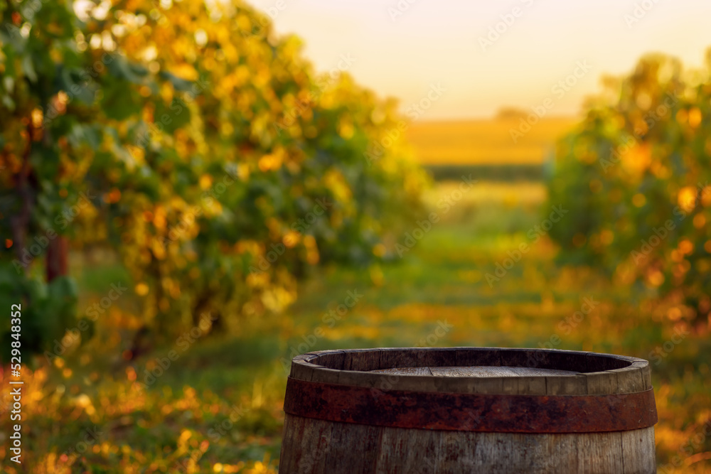wooden barrel for wine on vineyard in countryside at sunset