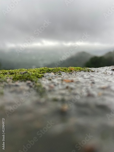 landscape in the morning between londa and goa route