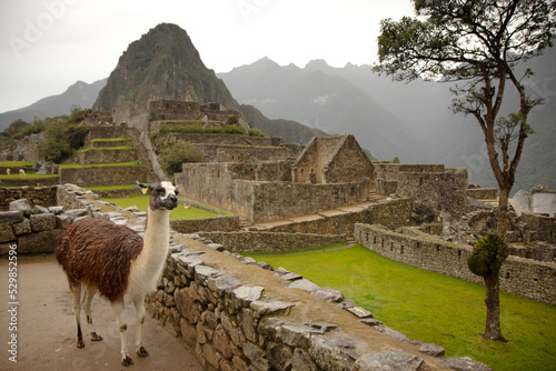 Machu Picchu (Peru, Southa America), a UNESCO World Heritage Site