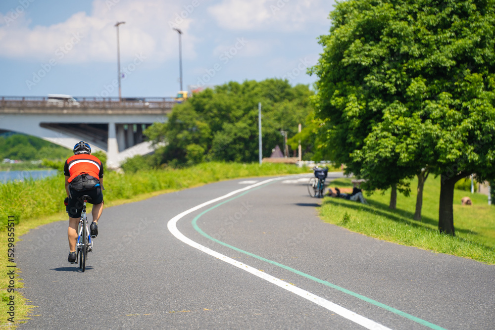 Obraz premium 初夏の緑と青い空、手賀大橋に向かって自転車競技の練習(手賀沼)