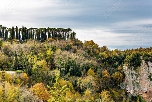 The Tuscan hills.