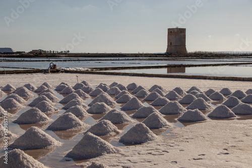 Riserva Naturale Orientata delle Saline di Trapani e Paceco photo