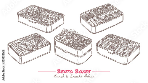 Bento box with healthy food for lunch sketch vector illustration set. Hand drawn lunchbox with section for different dishes. Doodle container with traditional japanese meals