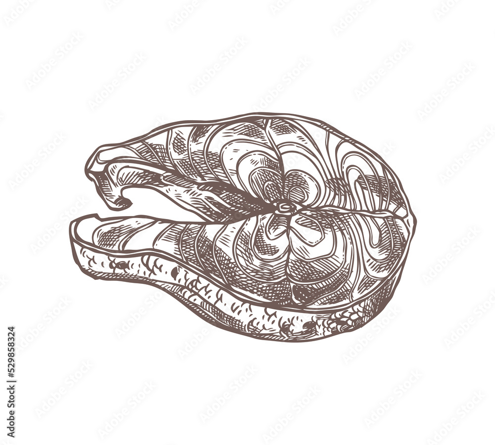 Fish meat steak sketch vector - hand drawn sea and ocean or river fish ...