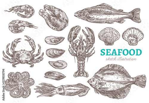 Seafood set of sketch vector illustrations - different kinds of sea and ocean animals suitable for cooking and eating. Hand drawn fish, crustaceans and ingredients for japanese restaurant or store