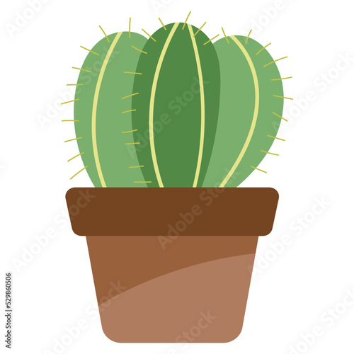 Cactus2