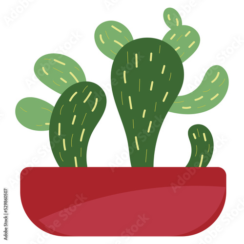 Cactus1