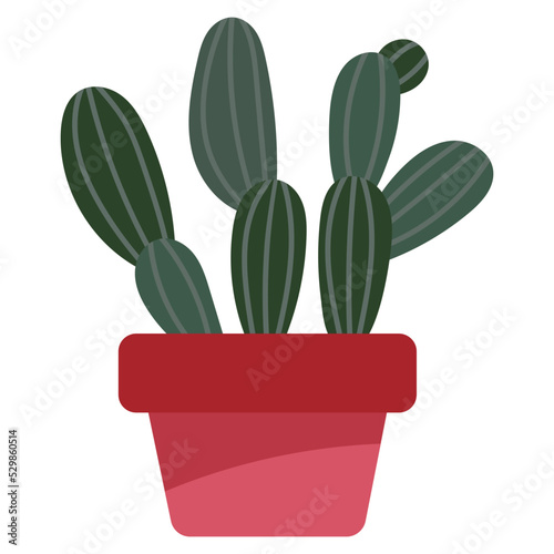 Cactus3