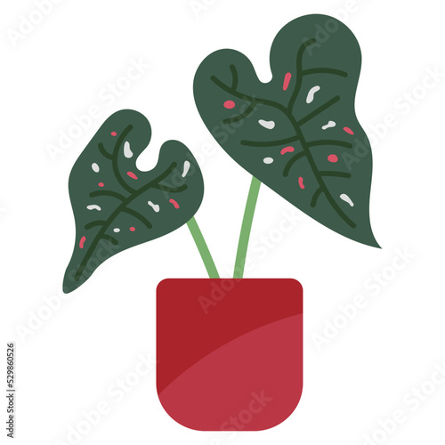 Plant2