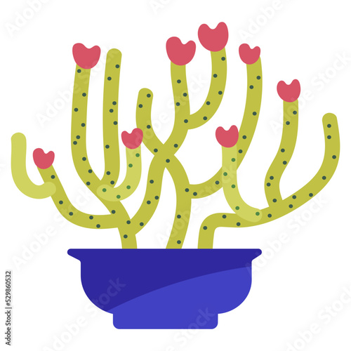 Plant5